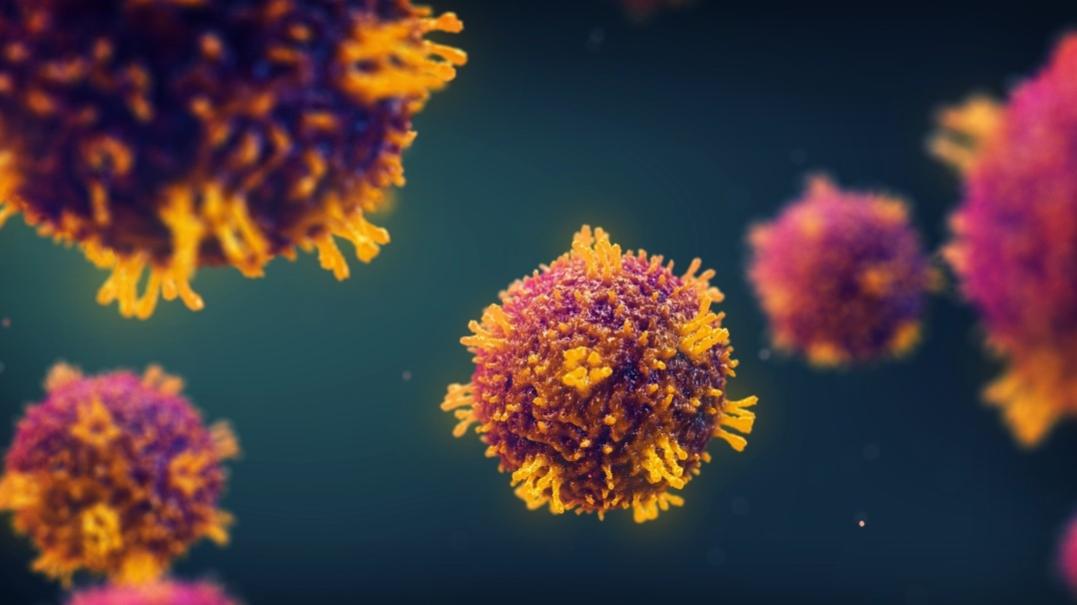 Magnified image of the measles virus. 