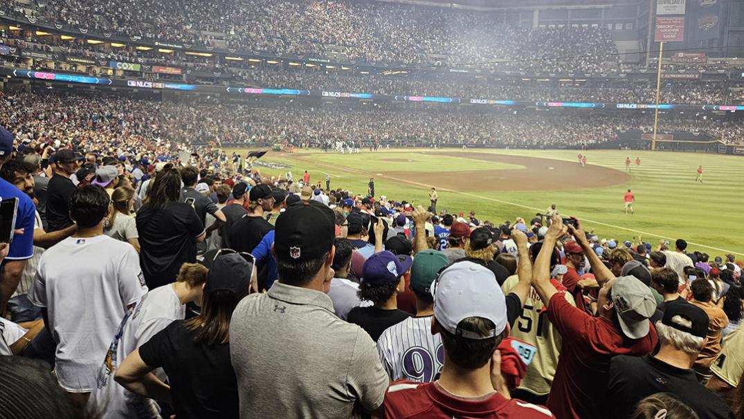 dbackshs