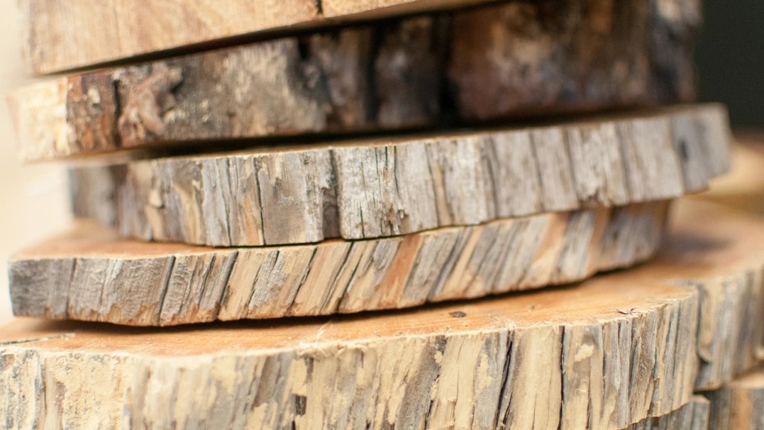 Image of circular slices of cut wood stacked on top of each other 