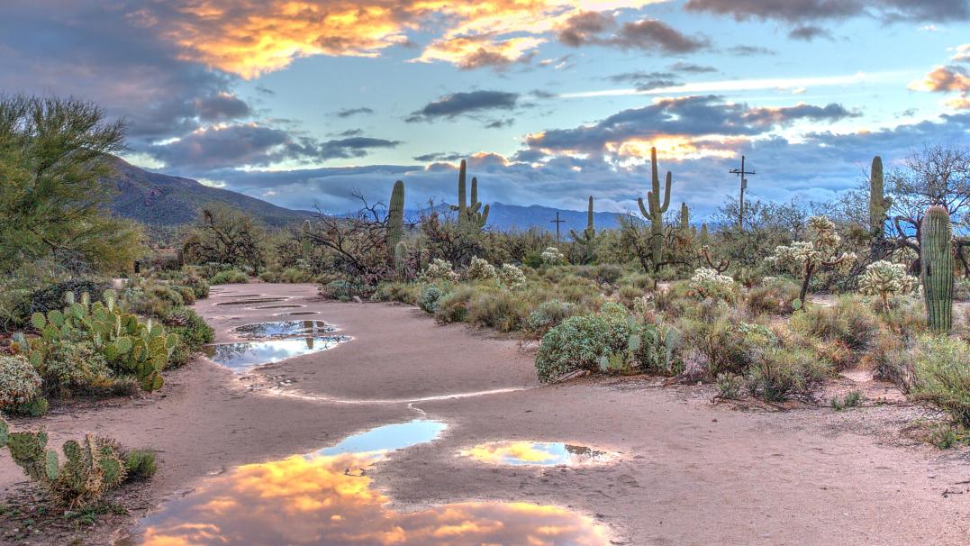 Arizona Board of Regents University of Arizona NAU ASU U of A Water Conservation ATUR Governor Hobbs Legislature 
