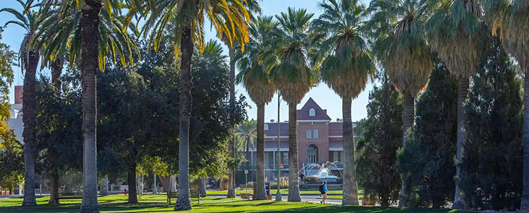A photo of the University of Arizona campus.