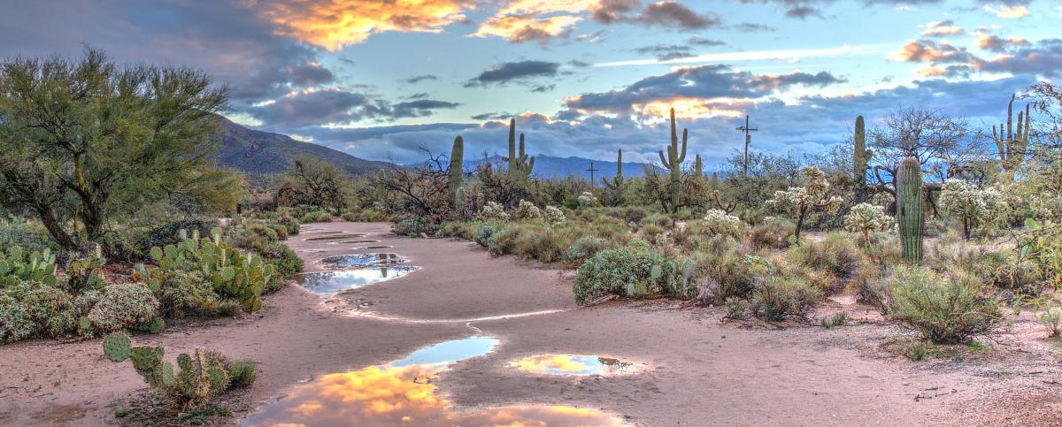 Arizona Board of Regents University of Arizona NAU ASU U of A Water Conservation ATUR Governor Hobbs Legislature 