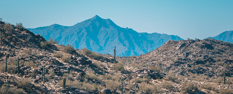 Image of Arizona mountains with saguaro cactus in the foreground 