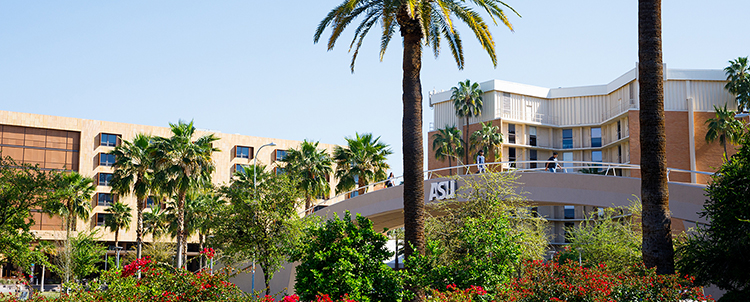 Photo of the ASU campus with palm tree in the foreground, buildings in the background and the ASU logo on a bridge over University Drive