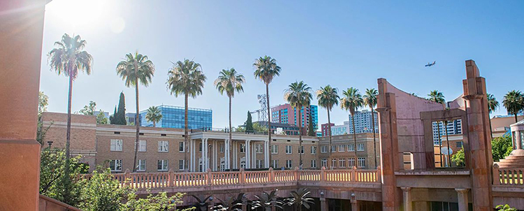 Photo of the ASU campus with palm trees in the background and buildings. Also in the photo are columns from the ASU library entrance where students access the library underground. 