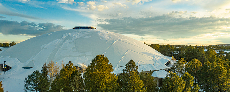 Photo of the Skydome on campus with pine trees in the foreground. 