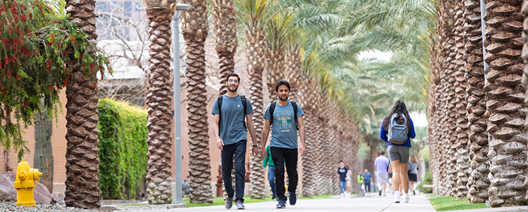 Photo of students walking on Palm Walk at ASU with palm trees lining both sides of the path 