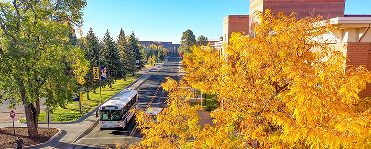 Photo of NAU campus with tree with golden leaves to the right, a street in the middle with a bus on it, buildings in the background and green trees to the left 