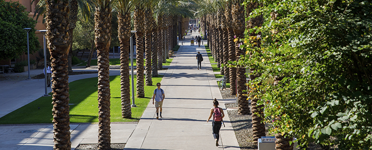 Photo of Palm Walk on ASU campus with students walking and palm trees on either side of the walk. 