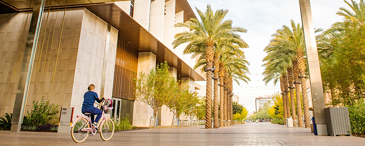 Photo of an ASU female student riding her bike on campus by a building with palm trees in the background 