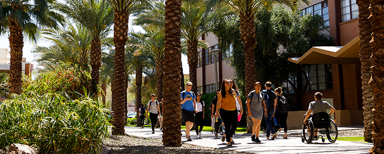 Students walk outside on ASU's Tempe campus with palm trees lining their path 